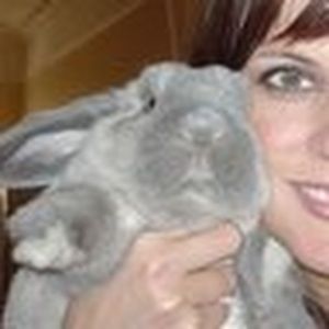 Meet your Posher, Karen